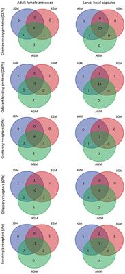 Comparing the Expression of Olfaction-Related Genes in Gypsy Moth (Lymantria dispar) Adult Females and Larvae from One Flightless and Two Flight-Capable Populations